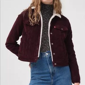 Levi's Original Sherpa Corduroy Trucker Jacket (Women's Size Small)
